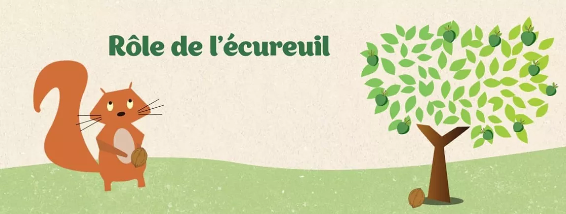 Le rôle de l’Ecureuil Ecureuil Pur’Fruit