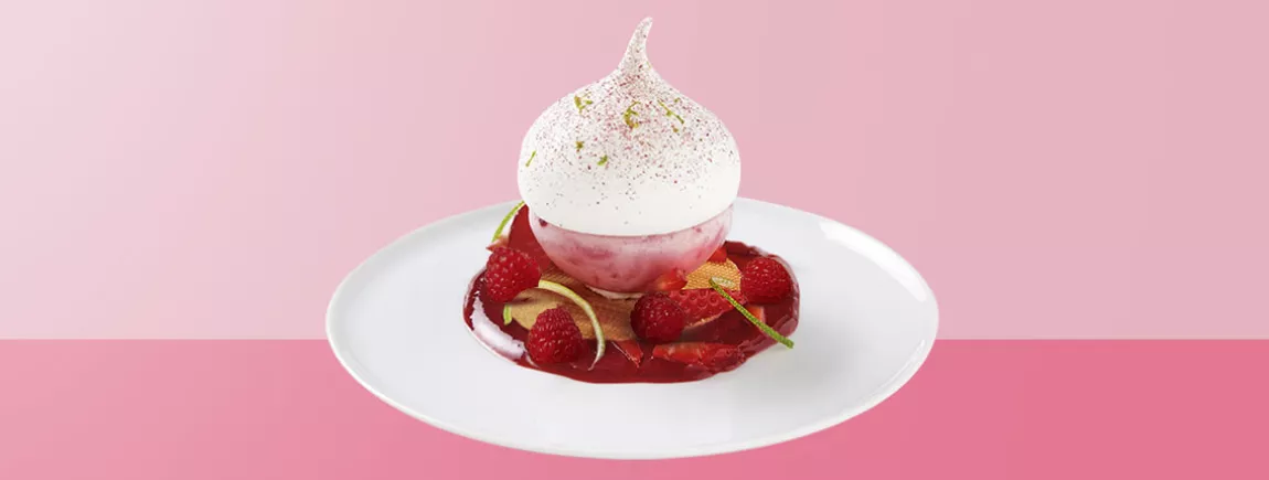 Un dessert glacé avec du sorbet à la framboise