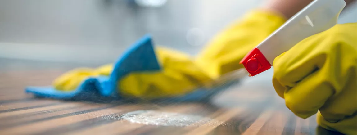 Ménage maison désinfecter bactéries virus surfaces nettoyant spray antibactérien