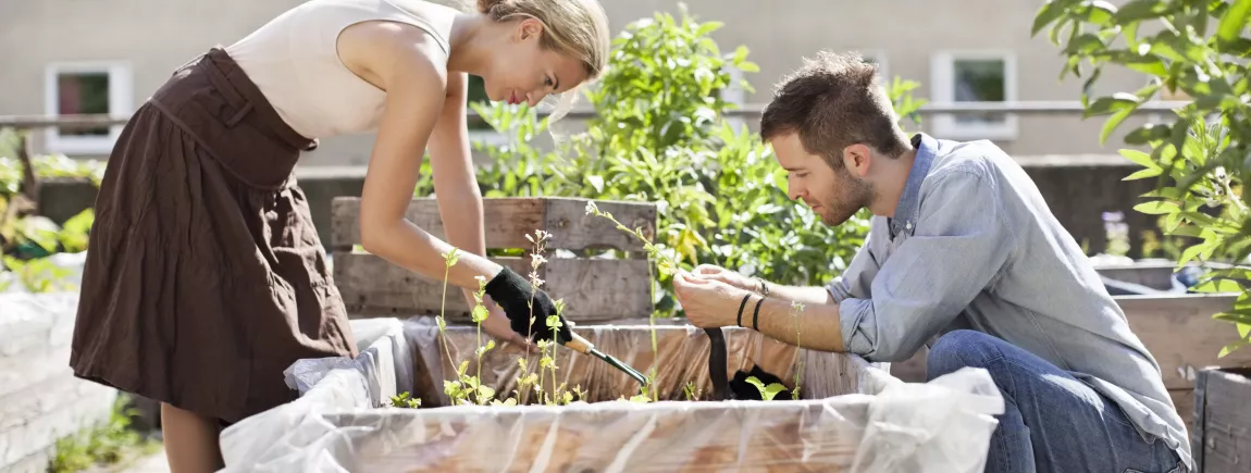 Couple qui profite du jardin pour pratiquer un peu de jardinage