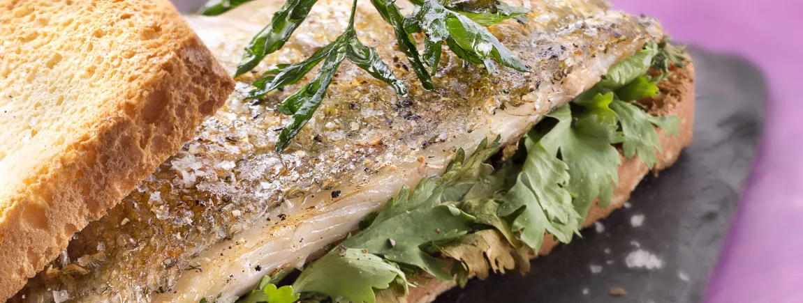Tartines de Filet de daurade à la coriandre fraîche avec Pelletier®