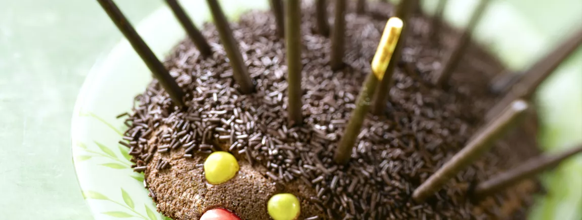 Gâteau hérisson aux biscuits Mikado ® Chocolat Noir Gâteau hérisson aux Mikado® Chocolat Noir